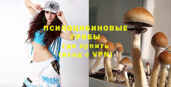 эйфоретик Арсеньев