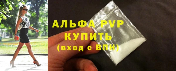 эйфоретик Арсеньев