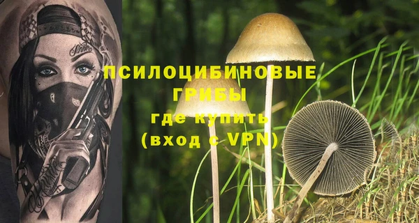 дживик Балабаново